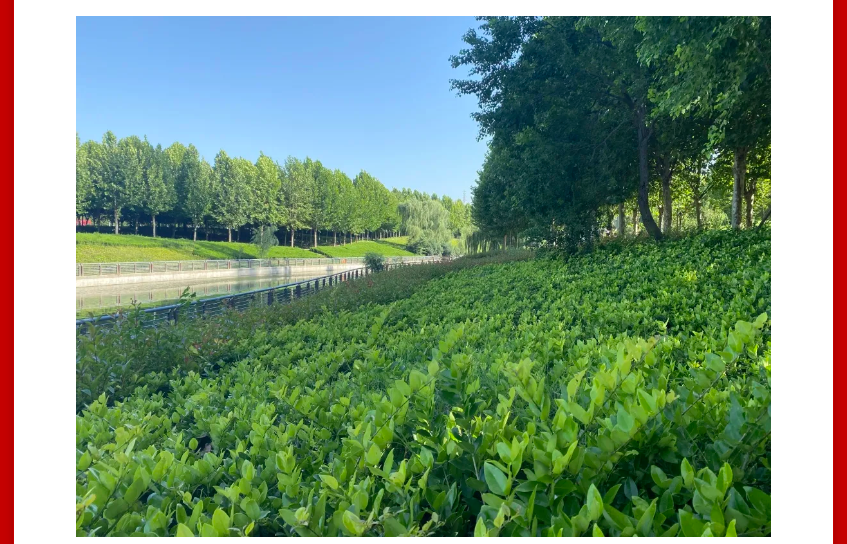 年终薅好房，，，，，，，，这个明星红盘把“出圈”举行究竟！