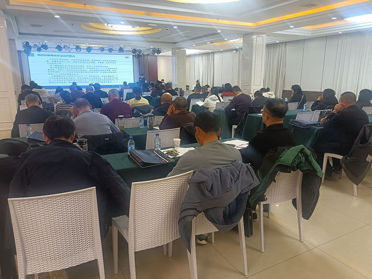 һ���� - �������ĵ羺ƽ̨