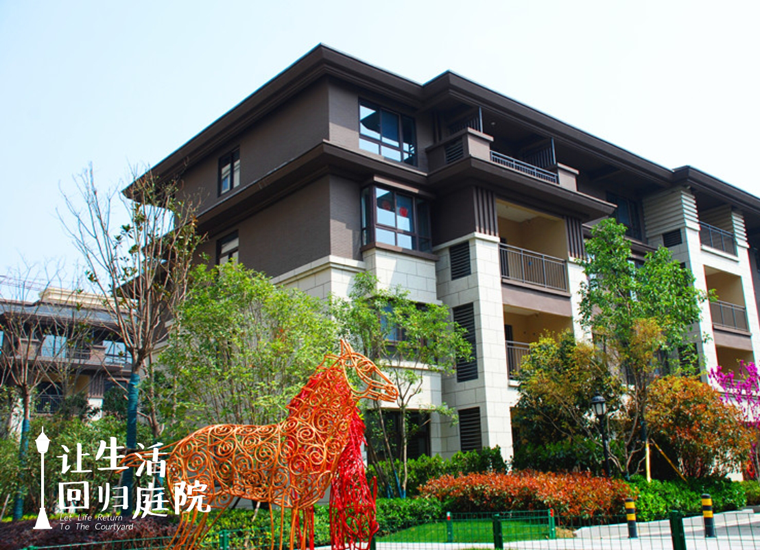 前后张望南阳50年：这样的庭院，，，，，，很难再有了！