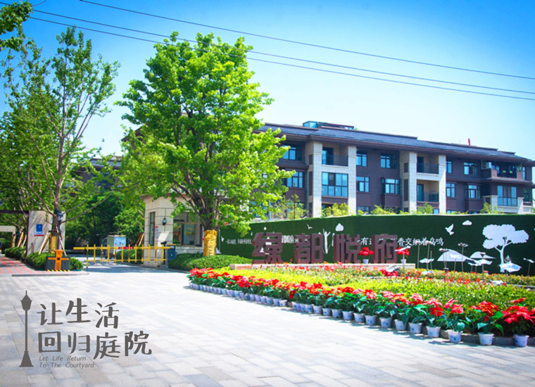 前后张望南阳50年：这样的庭院，，，，，，很难再有了！