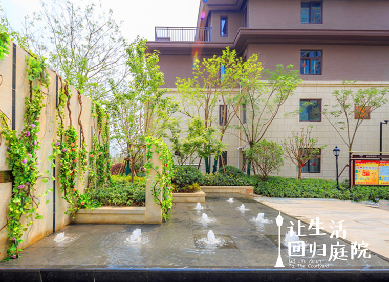 前后张望南阳50年：这样的庭院，，，，，，很难再有了！