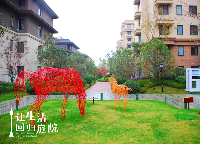 前后张望南阳50年：这样的庭院，，，，，，很难再有了！