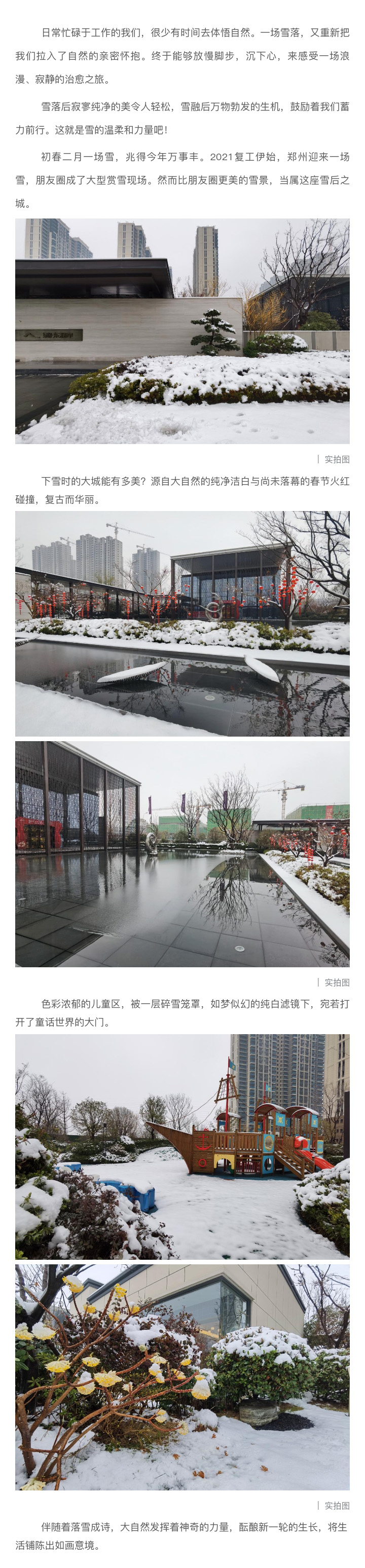 2021浪漫开年，，，，，，共赏一场鹅毛大雪！