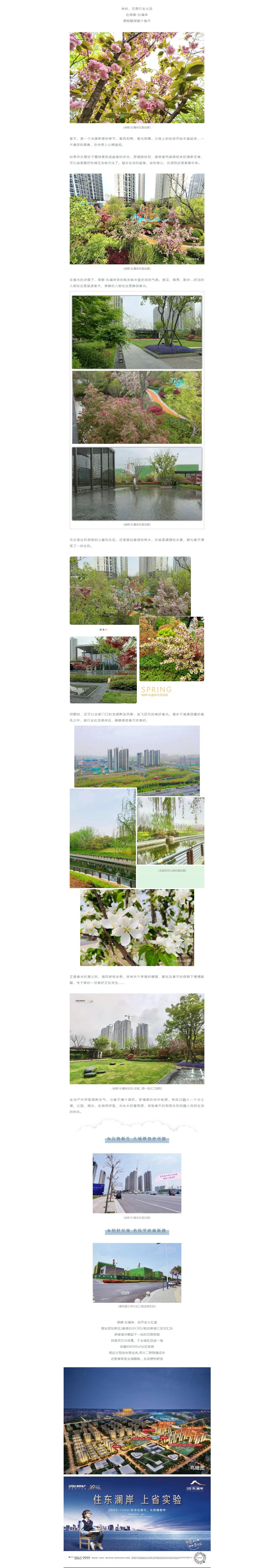 赏花踏青，，，，，，来一场和春天的约会